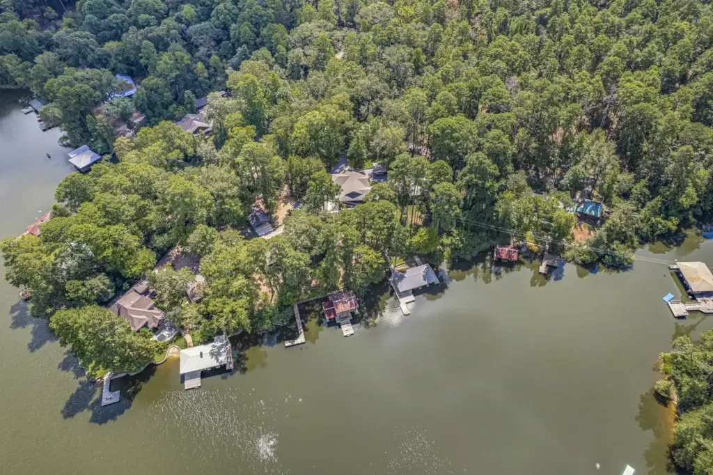 Aerial view of the Fern Lake shoreline